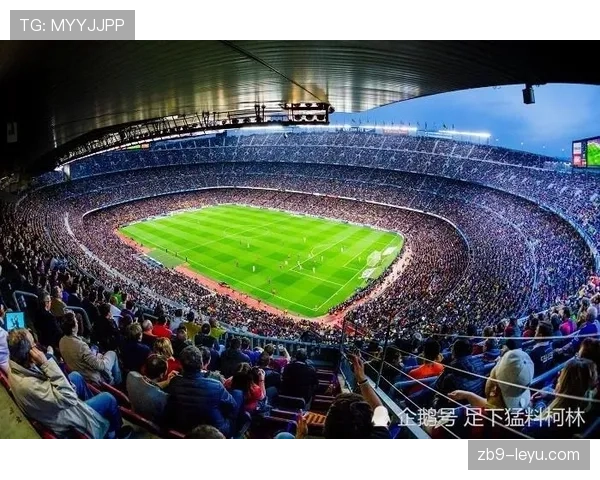 穆拉特教练：瑞士队目标明确，全力以赴迎战关键赛事