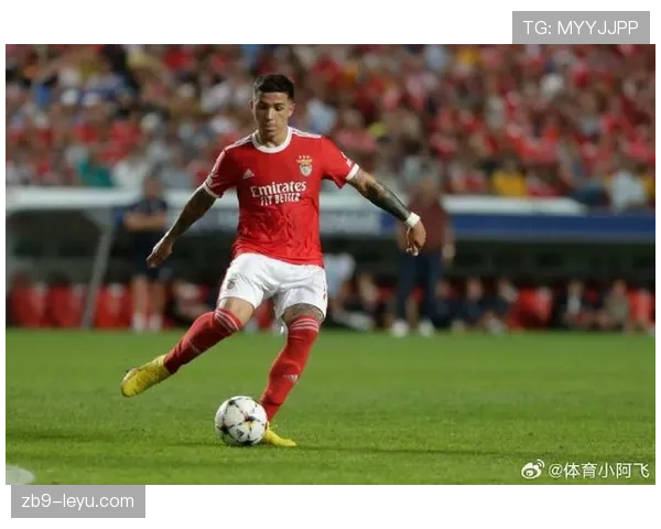 格里马尔多告别本菲卡，结束多年效力生涯